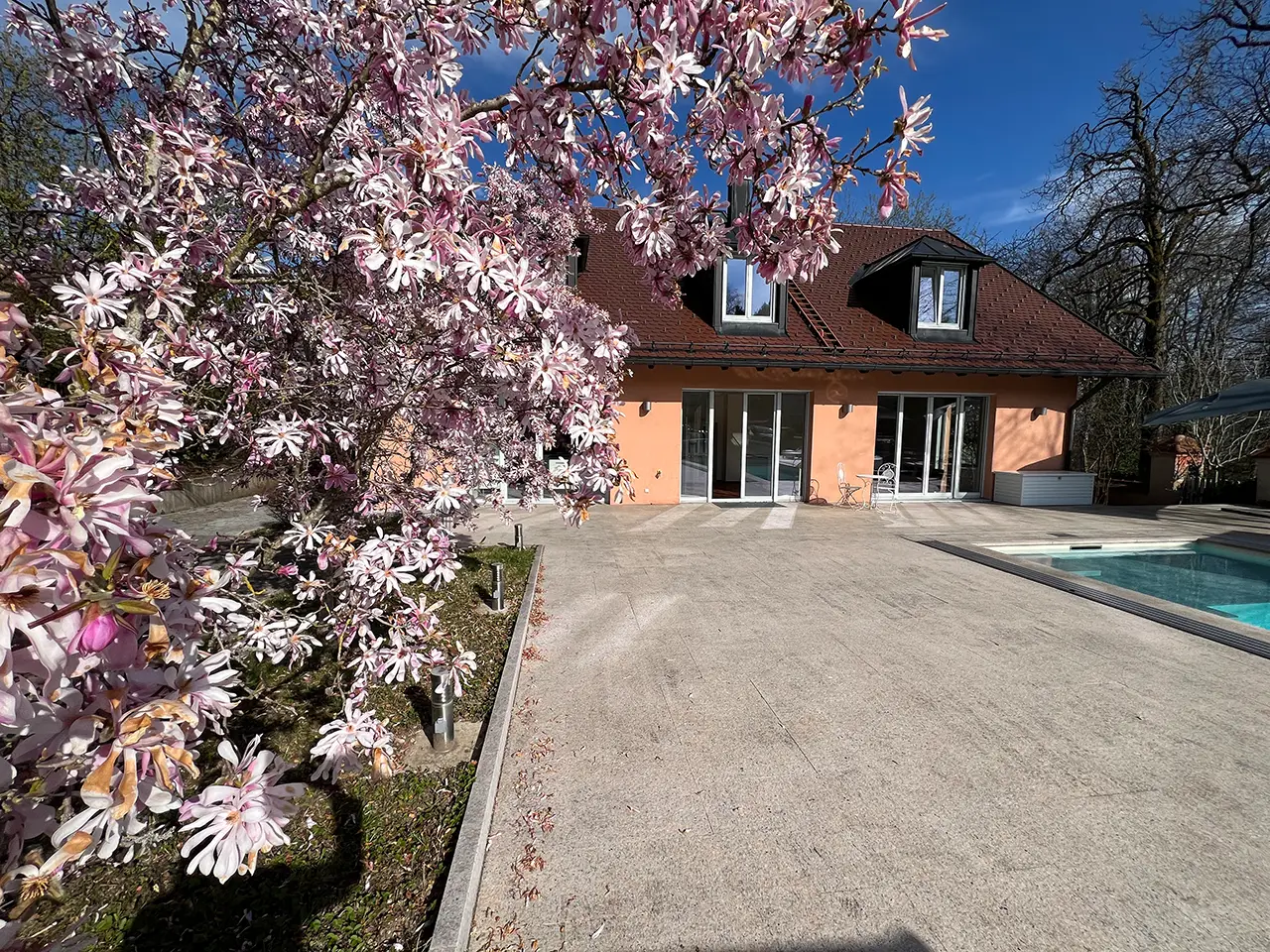 Immobilie in Eurasburg: Poolbereich mit Magnolienbaum
